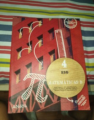 Lote de libros Matemáticas B 4