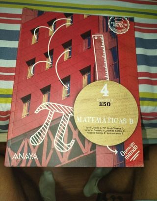 Lote de libros Matemáticas B 4
