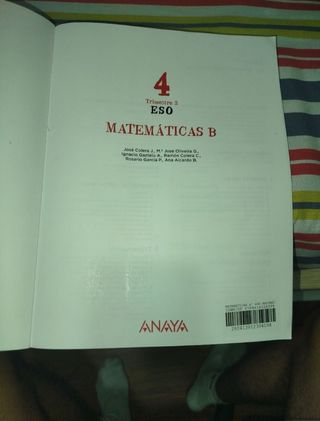 Lote de libros Matemáticas B 4