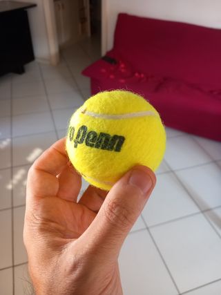Pallina da tennis Pro Penn