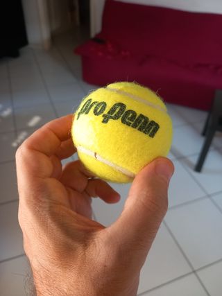 Pallina da tennis Pro Penn