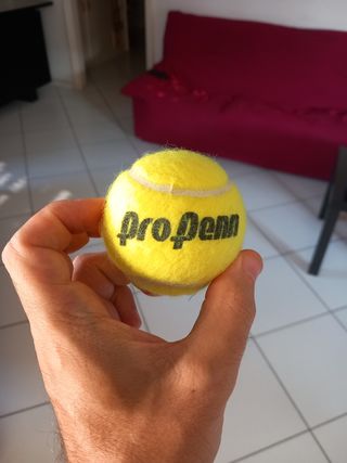 Pallina da tennis Pro Penn