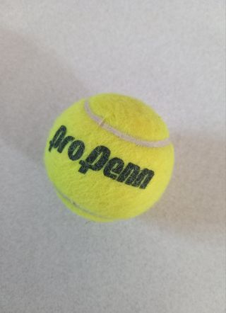 Pallina da tennis Pro Penn