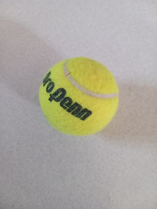 Pallina da tennis Pro Penn