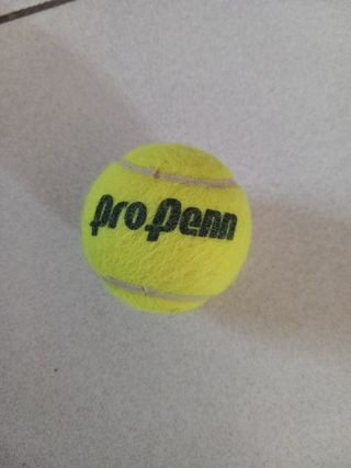 Pallina da tennis Pro Penn