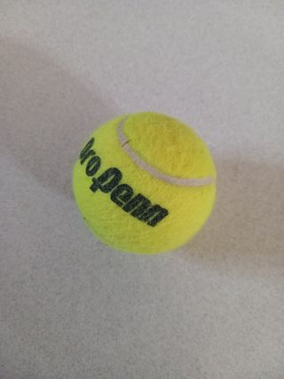 Pallina da tennis Pro Penn