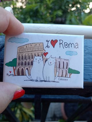 Calamita Roma Gatti Colosseo