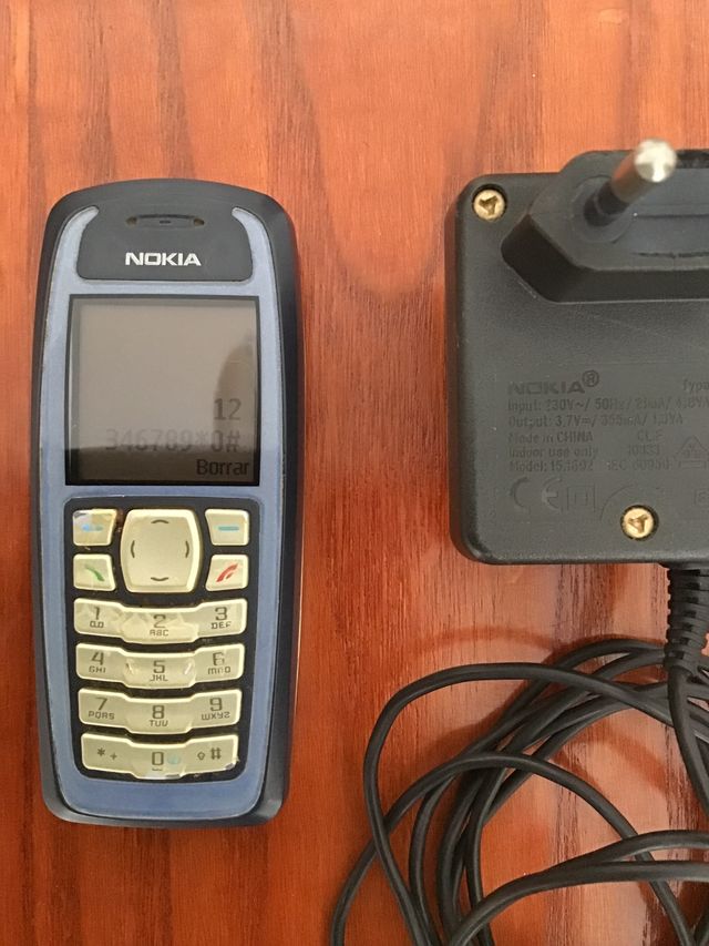Nokia 3100
