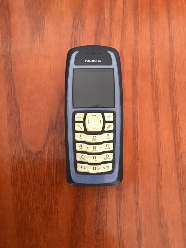 Nokia 3100