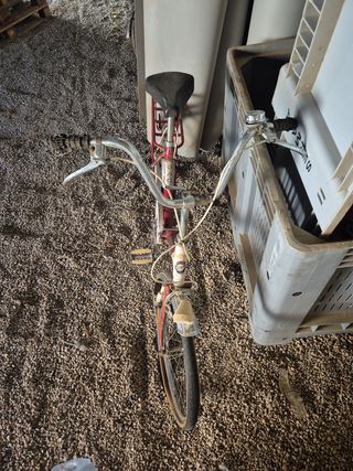 Bicicleta Clásica Mobylette G.A.C.