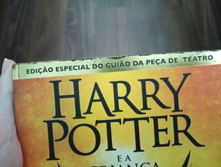 Harry Potter e a criança amaldiçoada. Pt.1 e 2