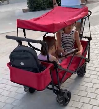 Carrito Plegable Playa/Campo - Ruedas Anchas