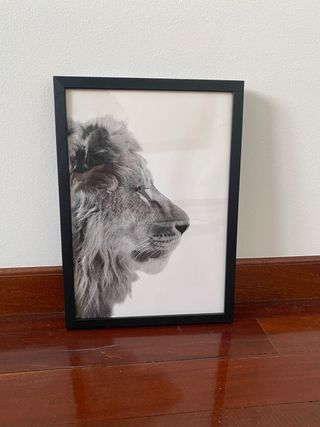 Cuadro León Blanco y Negro