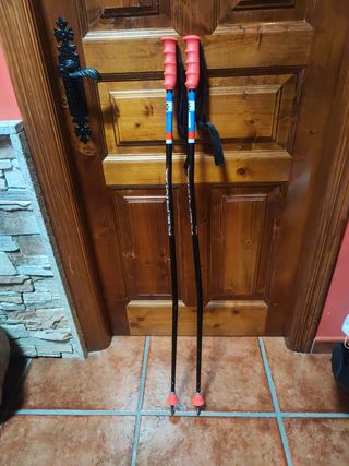 Bastones Esquí Kerma Speed GS Jr 110cm