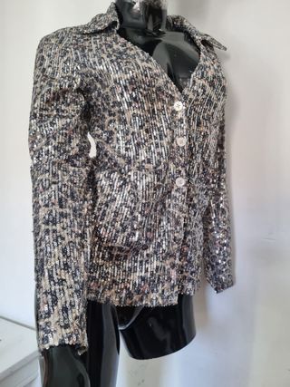 Camisa lentejuelas plateadas