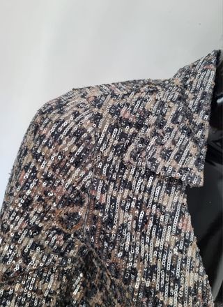 Camisa lentejuelas plateadas