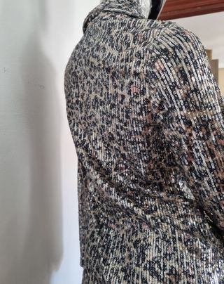 Camisa lentejuelas plateadas