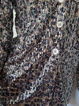 Camisa lentejuelas plateadas