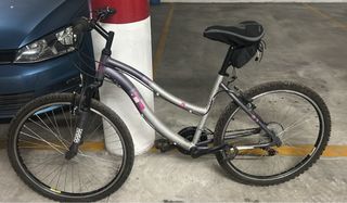 Bicicleta Rueda 26