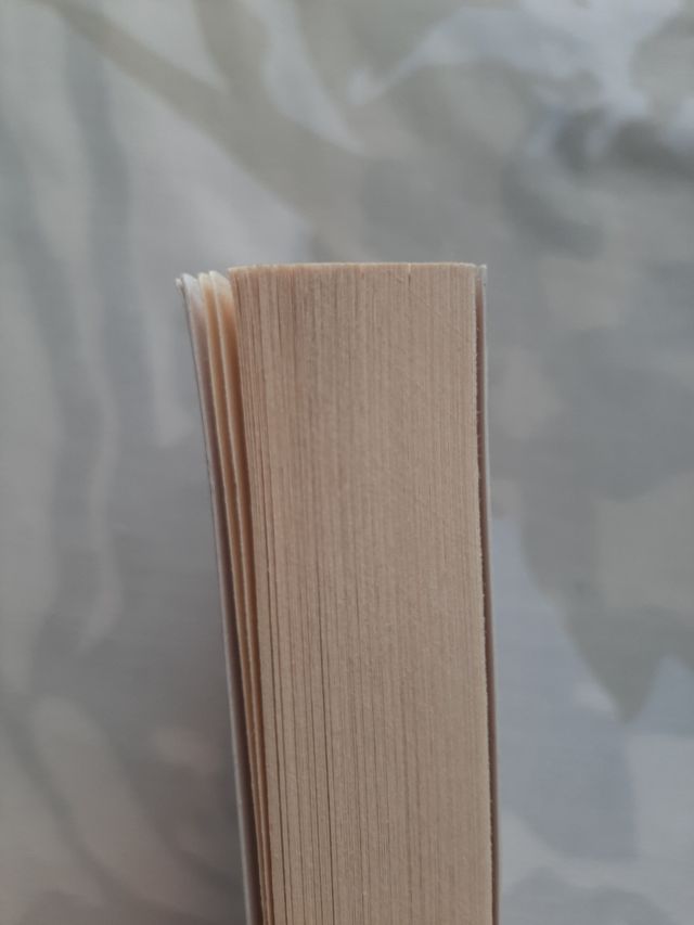 The Narrative of Arthur Gordon Pym. Poe.