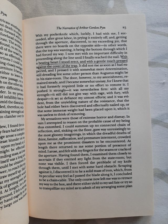 The Narrative of Arthur Gordon Pym. Poe.