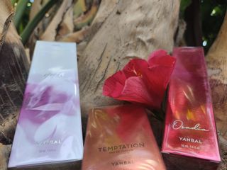 Perfumes YANBAL