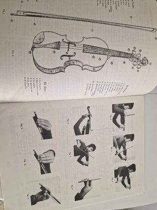 The Violin / El Violín - Mathieu Crickboom