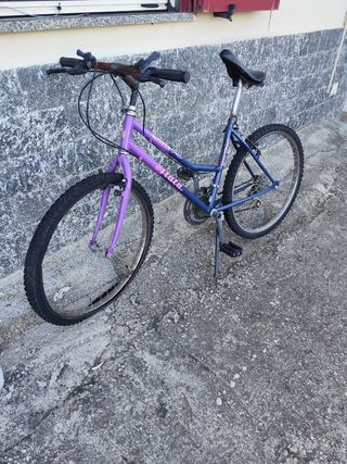 Bicicletta da donna viola