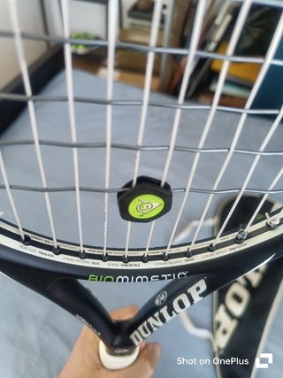 Raquete Ténis Dunlop Biomimetic 600 c/ Capa
