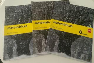 matemáticas 6º