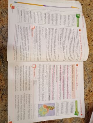 Lengua castellana y Literatura 3 ESO