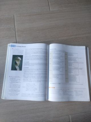 Lengua castellana y literatura 1 bachillerato