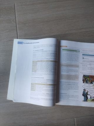 Lengua castellana y literatura 1 bachillerato