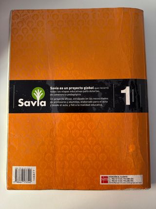 Economía. 1 Bachillerato. Savia (Spanish Edition)