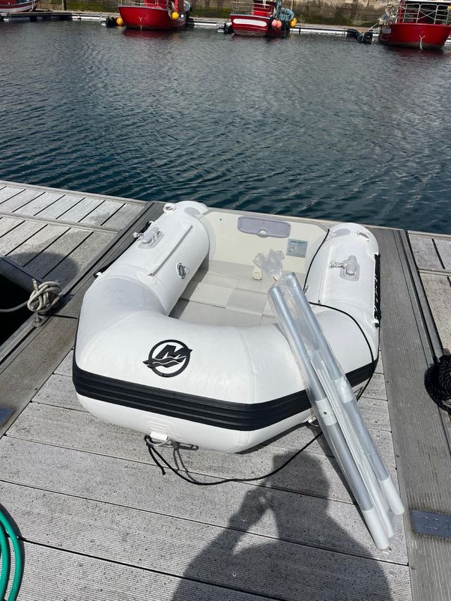 Zodiac neumática auxiliar Quicksilver 200