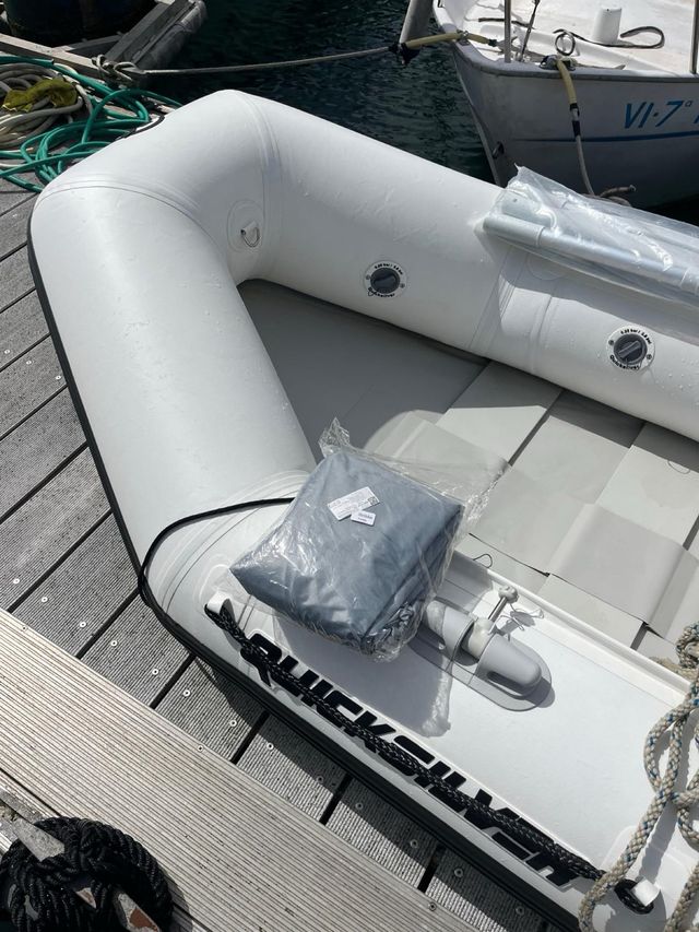 Zodiac neumática auxiliar Quicksilver 200