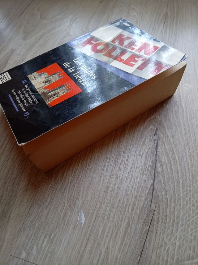 Los Pilares de la Tierra