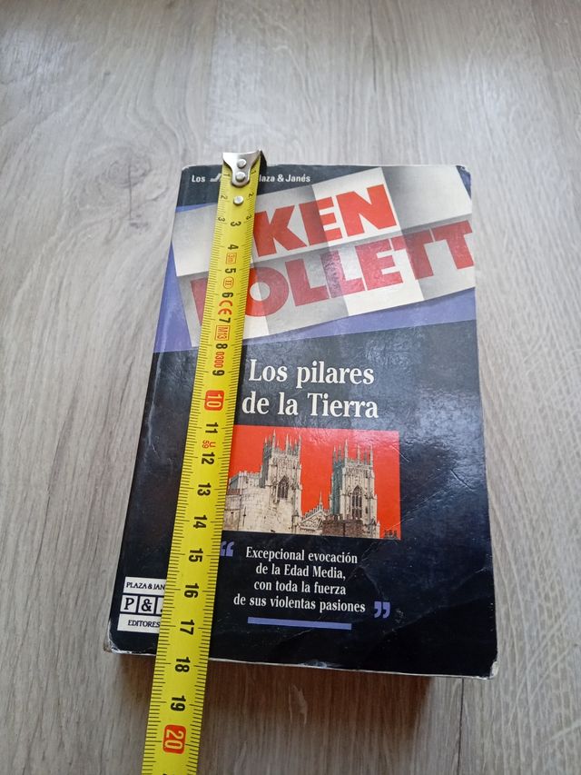 Los Pilares de la Tierra