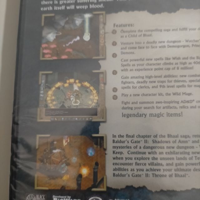 PRECINTADO Baldur's Gate PC