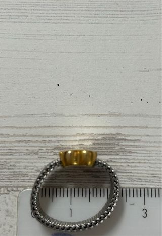 Anillo Tous Oso Acero Inoxidable Dorado y Plateado