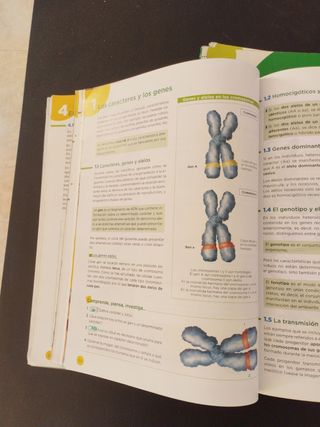 Biología y geología 4Eso