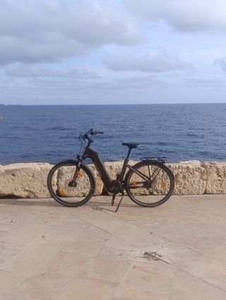 Bicicleta eléctrica urbana
