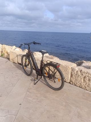 Bicicleta eléctrica urbana
