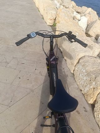 Bicicleta eléctrica urbana
