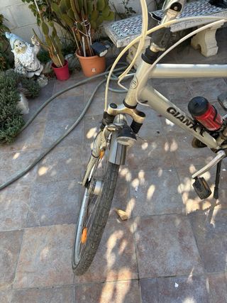 Bicicleta Giant plateada