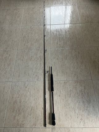 Caña Spinning Daiwa Infeet Shoot Boat I SB742HM