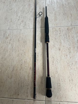 Caña Spinning Daiwa Infeet Shoot Boat I SB742HM