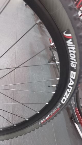 Bicicleta de Montaña Carbono Nueva