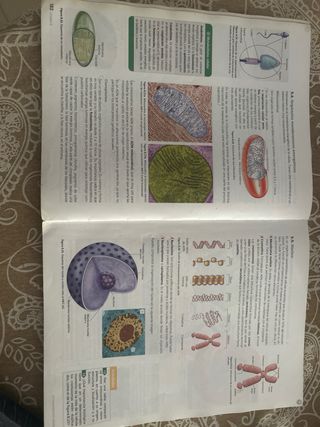 Inicia Biología y Geología 1.º Bachillerato. Li...