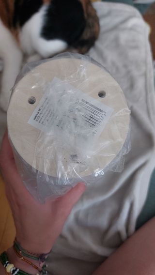 Poste rascador para gatos de sisal y madera